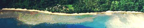 costa.jpg (11016 byte)